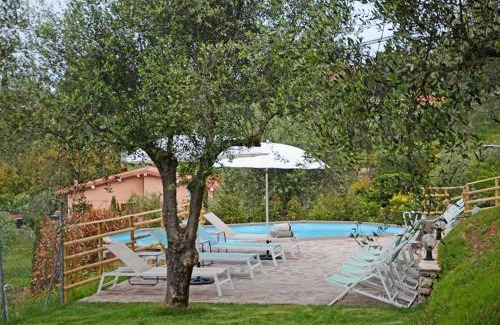 Massarosa House | Le Donne di Bargecchia