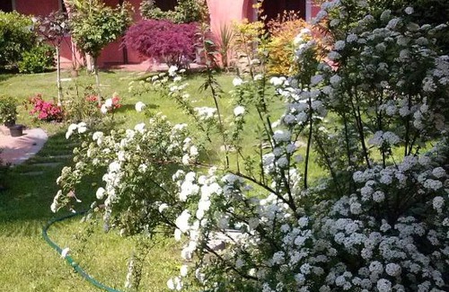 Caselle Torinese Bed & Breakfast | Le ginestre