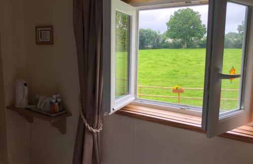 Saint-Martin-d'Aubigny Bed & Breakfast | Le Grand Camelia