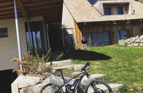 Osenbach House | Le Holzberg (8 to 10 pers) - Wellness, sauna and nature 20min from Colmar