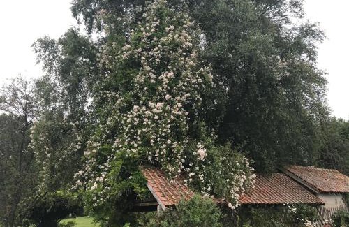 Maintenay Bed & Breakfast | Le Jardin Sauvage