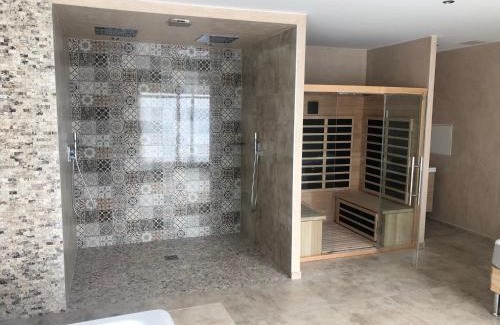 Koenigshoffen Est Apartment | LE LOFT A BULLES (85m2 Jacuzzi Hammam Billiard Bar Douche Sauna)