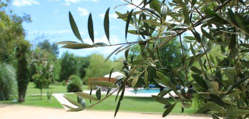 Saint-Victor-de-Malcap Bed & Breakfast | Le Mas Charamèlia
