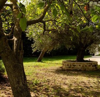 Loriol-sur-Drome House | Le Mas des deux Soleils