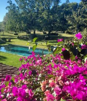 Le Beausset Bed & Breakfast | Le mas des escans