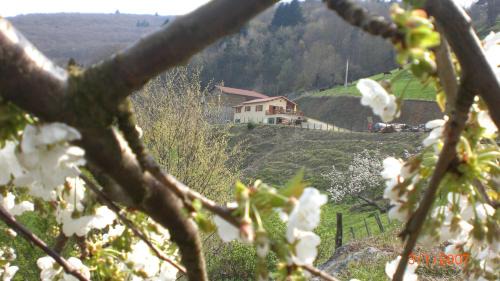 Courzieu House | le Mirador