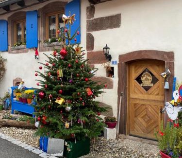 Hengwiller House | Le Nid de Cigognes