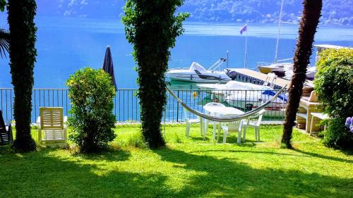 Cima House | Le palme Antonella