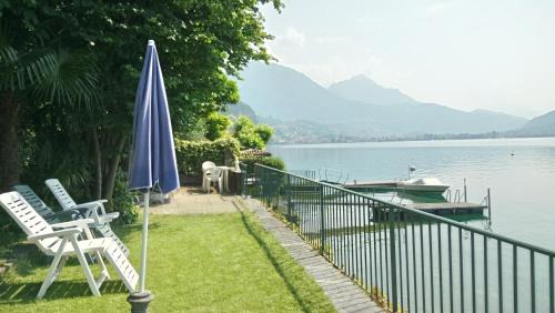 Cima House | Le palme Antonella