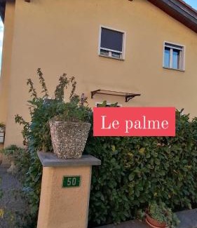 Monteceneri House | Le palme