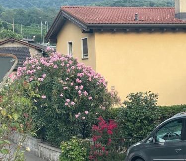 Monteceneri House | Le palme