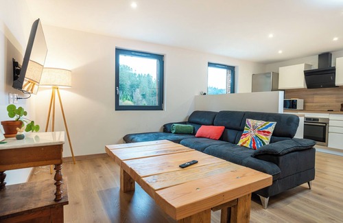 Ban-sur-Meurthe-Clefcy Apartment | Le Perchoir-Le Grand Valtin-Gite 4 People