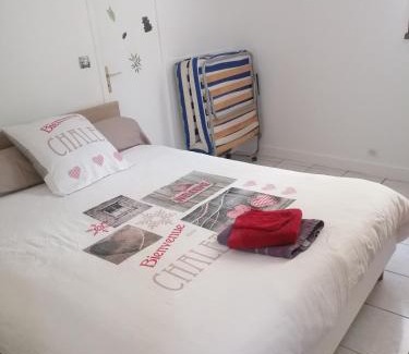 Flore Apartment | Le Petit Chalet -Appartement proche de la vieille ville , du centre ville et du Tram- PETIT DEJEUNER OFFERT
