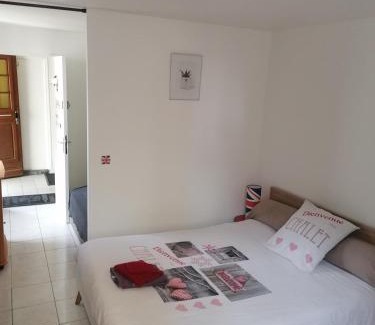 Flore Apartment | Le Petit Chalet -Appartement proche de la vieille ville , du centre ville et du Tram- PETIT DEJEUNER OFFERT