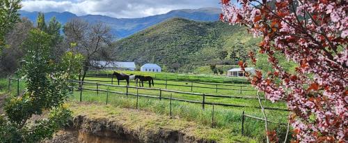 Langeberg House | Le Petit Paradis