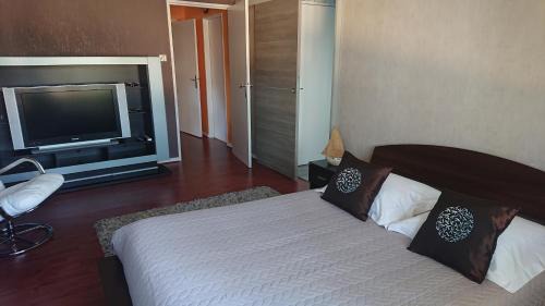 Wintzenheim Apartment | Le Point central - Terrasse - Proche de Colmar