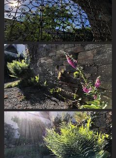 Saint-Sauveur-la-Pommeraye Bed & Breakfast | Le Relais