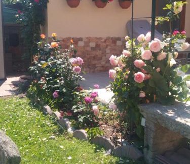 Pescate Apartment | Le Rose Sul Lago