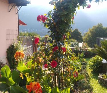 Pescate Apartment | Le Rose Sul Lago