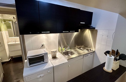 Mont-Dore Apartment | Le Sarciron 111 Le Mont Dore 2/4 pers