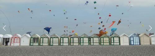 Cayeux-sur-Mer Apartment | Le Solemare Appartement T3 Face Mer Cayeux sur Mer