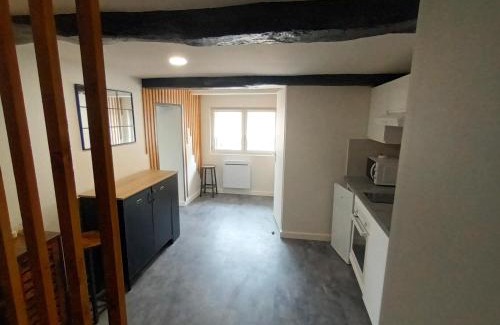 Paulhac Apartment | Le SPArt un jacuzzi une salle de sport un appartement entièrement équipée pour votre bien être