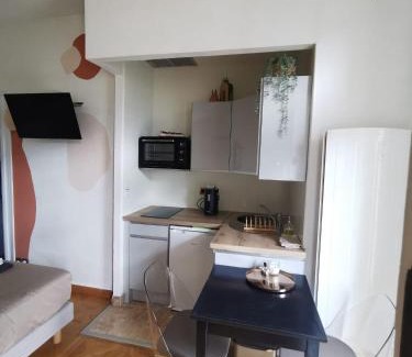 Aix-les-Bains City Center Apartment | Le Splendide Cosy Room