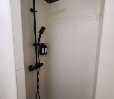 Aix-les-Bains City Center Apartment | Le Splendide Cosy Room
