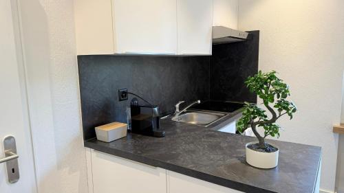 Schaffhausen Apartment | Lea Apartement - Ruhiges Studio
