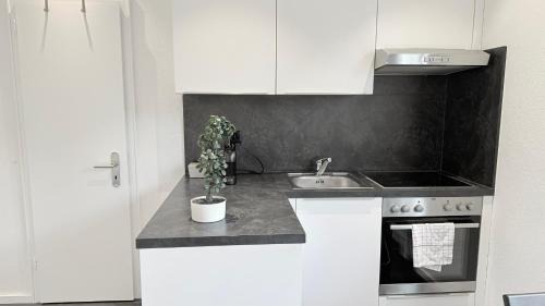 Schaffhausen Apartment | Lea Apartement - Ruhiges Studio