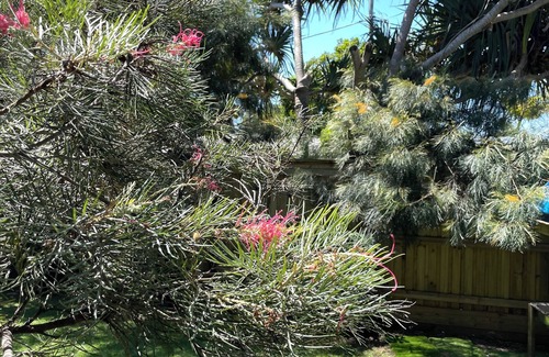 Mudjimba House | Leafy, Family friendly, Beach House!