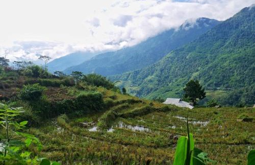 Sa Pa House | Lee's Charm Homestay