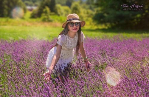 Washington House | LeFay Cottage at Little Washington