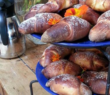 Fagerfjall Bed & Breakfast | Lekanders Bär & Boende