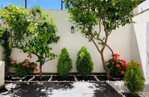 Torre Annunziata Bed & Breakfast | Lemon Tree