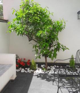 Torre Annunziata Bed & Breakfast | Lemon Tree