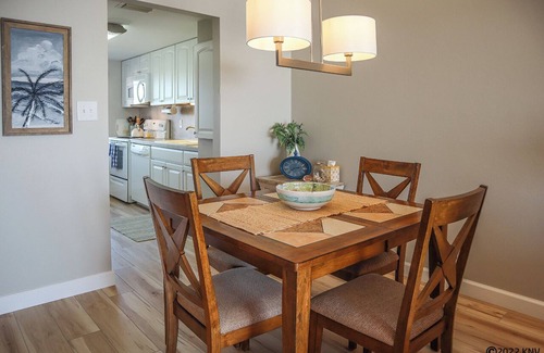 South Island Condo | Leonardo Arms 529 Beachfront 2B/2B Vacation Condo! Palm Trees And Sunshine!