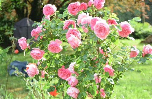 Saint-Jory-de-Chalais Bed & Breakfast | LES 2 CHENES
