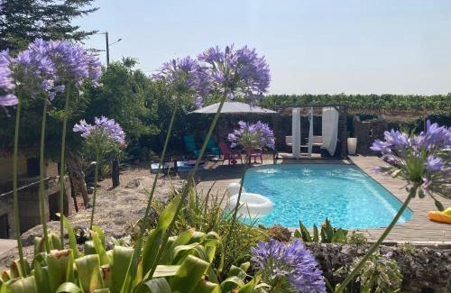Montagne Apartment | Les Agapanthes - Adult only