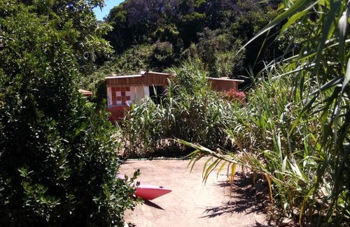 Ile du Levant Other | Les Bambous, camping naturiste