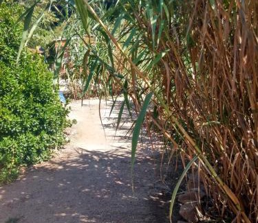 Ile du Levant Other | Les Bambous, camping naturiste