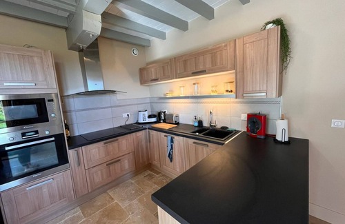 Lisle-sur-Tarn Ski Chalet | Les Blancs - Vineyard escape - Pool