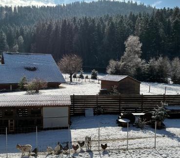 Gerardmer Apartment | LES CŒURS DU TILLEUL