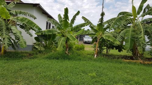 Madirokely House | Les HIBISCUS