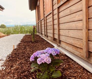 Avenches House | Les Moucherons
