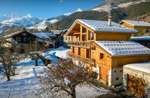 Seez Ski Chalet | Les Moulins D'Angelina - OVO Network