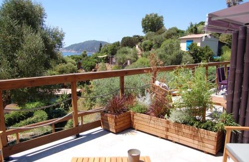 Ile du Levant Apartment | Les OULIVASTRES