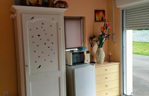 Chasnais House | Les papillons roses