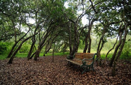 Makhado Cabin | Leshiba Wilderness