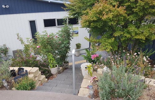 Lewisham Bed & Breakfast | Lewi Waters